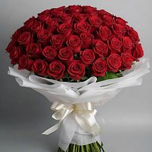 Букет 101 Красная роза Блэк Мэджик в Запрудне