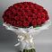 Букет 101 Красная роза Блэк Мэджик в Запрудне