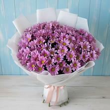 Букет цветов из:  Хризантемы в Запрудне