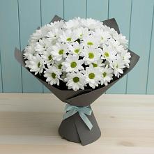 Букет цветов из:  Хризантемы #REPLACE_PRED# Запрудне