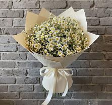 Букет цветов из:  Ромашки в Запрудне