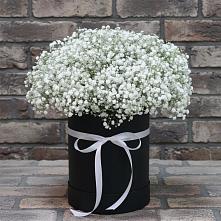 Цветочная композиция из Гипсофила в шляпной коробке #REPLACE_PRED# Запрудне