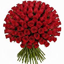 Букет Красные розы Чери Лав в Запрудне