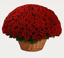 Премиум букет из: Розы в Запрудне