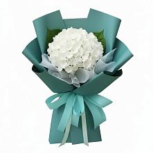 Букет цветов из:  Гортензия в Запрудне